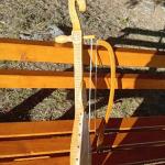 #194 Gusle sa konjem (Njegoš, Manastir Ostrog)