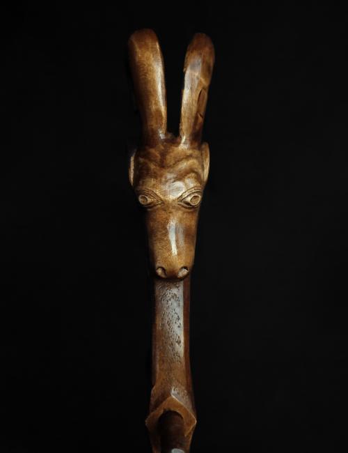 Koza (Gusle sa kozom model #110)